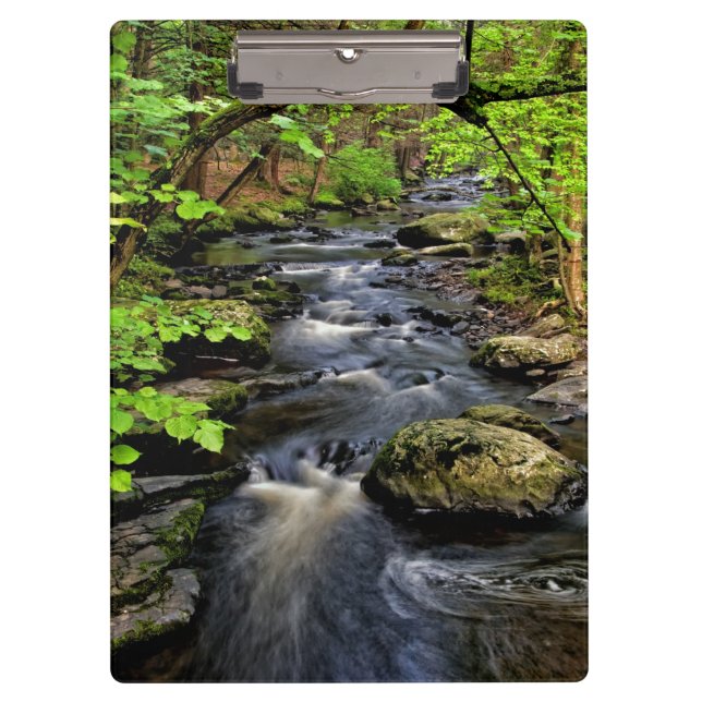 Creek flows through forest clipboard (Front)