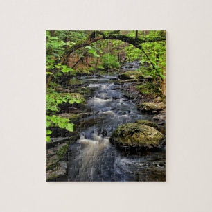 Creek flows through forest jigsaw puzzle