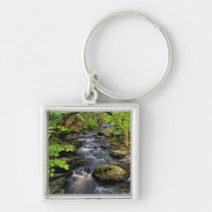 Creek flows through forest key ring