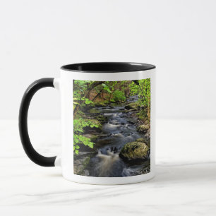 Creek flows through forest mug