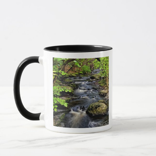 Creek flows through forest mug (Left)