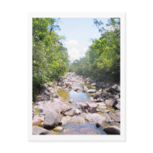 Creek in Venezuela Jungle Landscape