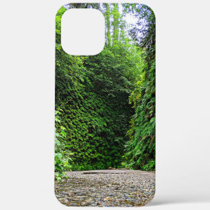 Creek Trail Winds Into Green Walls of Fern Canyon iPhone 12 Pro Max Case