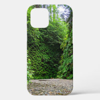 Creek Trail Winds Into Green Walls of Fern Canyon