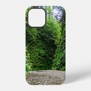 Creek Trail Winds Into Green Walls of Fern Canyon iPhone 12 Case