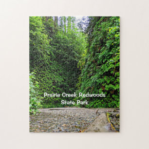 Creek Trail Winds Into Green Walls of Fern Canyon Jigsaw Puzzle