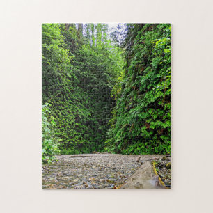 Creek Trail Winds Into Green Walls of Fern Canyon Jigsaw Puzzle