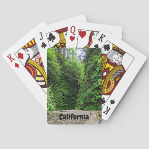 Creek Trail Winds Into Green Walls of Fern Canyon Playing Cards