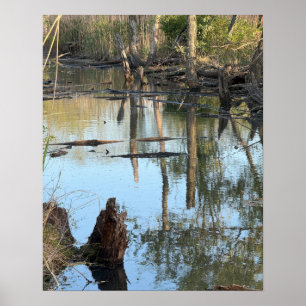 Creek Waterscape Reflections Photo Poster