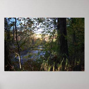 Creek with Bridge Poster