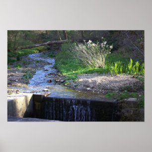Creek with Small Waterfall Poster
