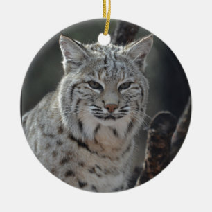 Creeping Bobcat Ceramic Tree Decoration