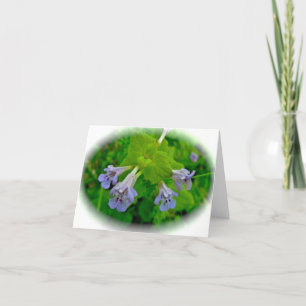 Creeping Charlie Ground Ivy Note Card