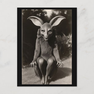 Creepy Bat Strange  Halloween Postcard