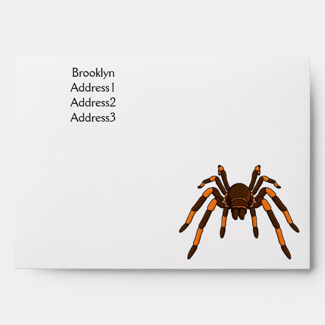 Creepy brown and orange tarantula spider cartoon envelope (Front)