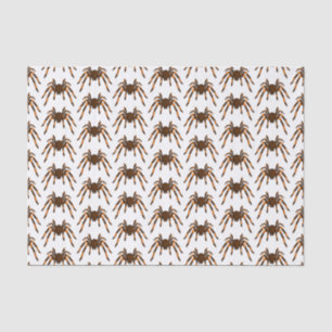 Creepy brown and orange tarantula spider cartoon tissue paper