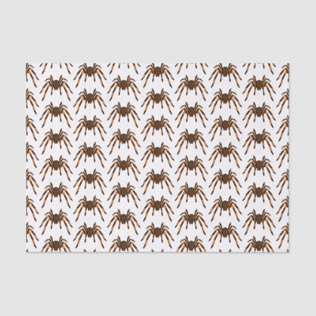 Creepy brown and orange tarantula spider cartoon tissue paper (Front)