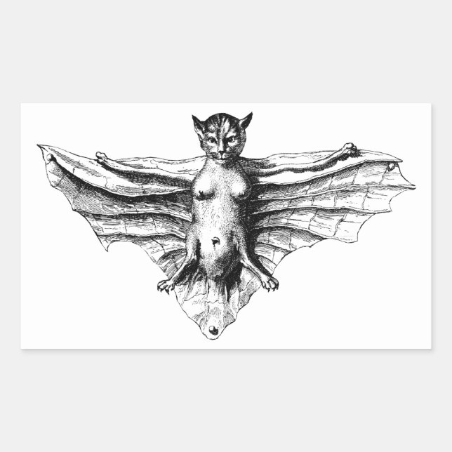 Creepy Cat Bat Creature Monster fantasy beast Rectangular Sticker (Front)