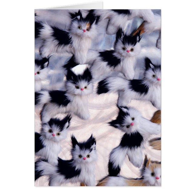 creepy cats (Front)