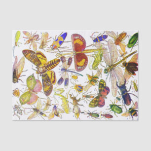 Creepy Crawlies Insect Tissue Paper Biology