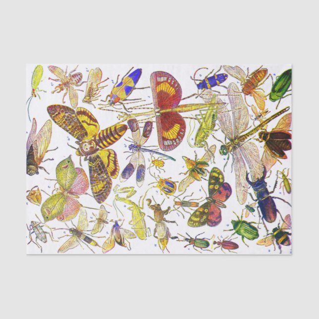 Creepy Crawlies Insect Tissue Paper | Biology (Front)