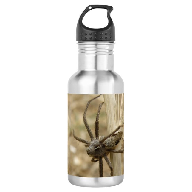 Creepy Crawly Spider 710 Ml Water Bottle (Front)