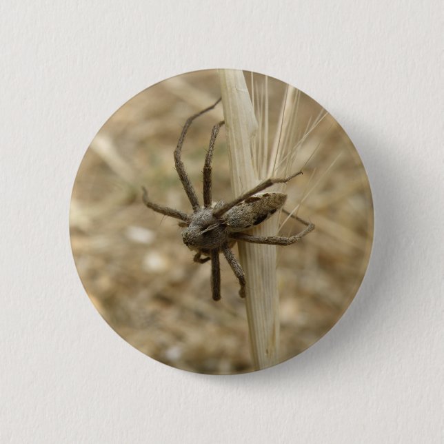 Creepy Crawly Spider Button (Front)