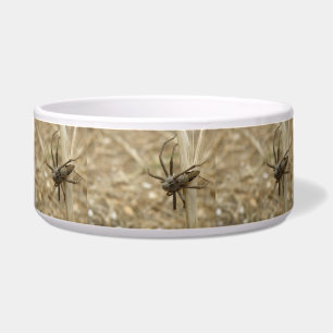 Creepy Crawly Spider Dog Bowl