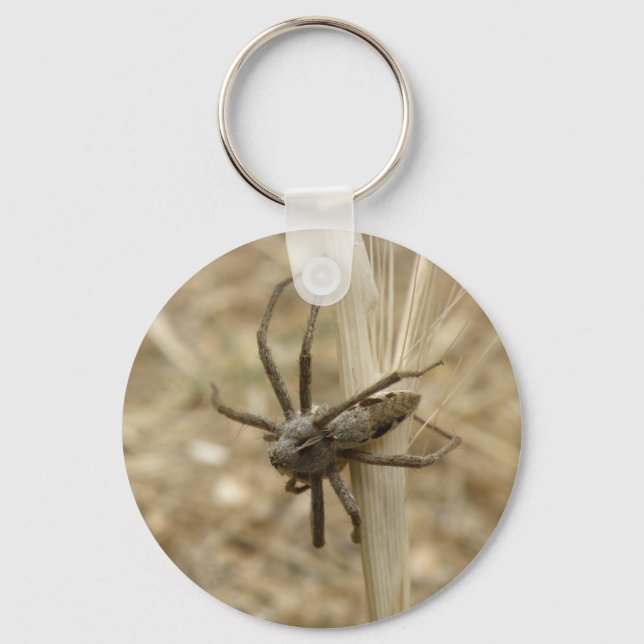 Creepy Crawly Spider Keychain (Front)