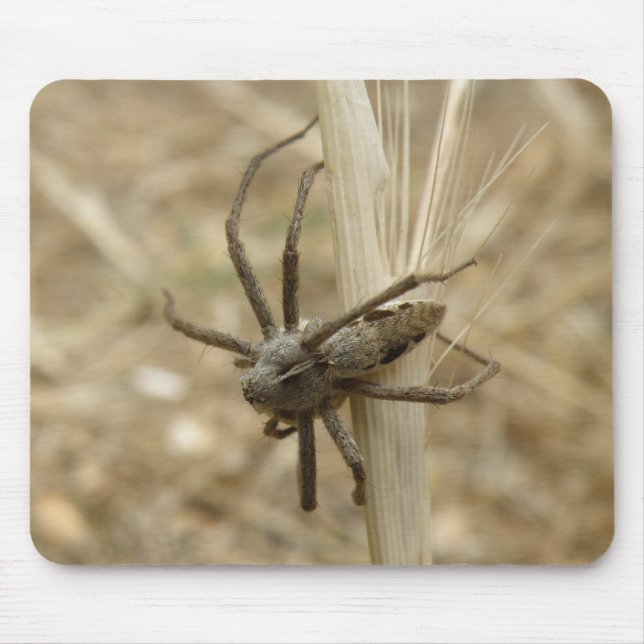 Creepy Crawly Spider Mousepad (Front)