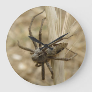 Creepy Crawly Spider Wall Clock