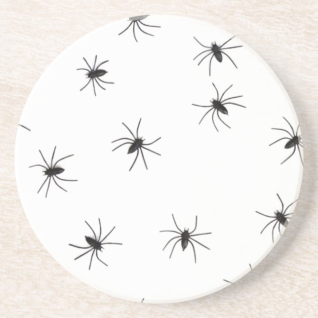 Creepy Crawly Spiders Coaster (Front)