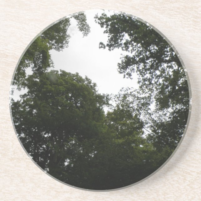 Creepy Forest Coasters (Front)