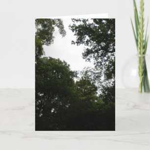 Creepy Forest Greeting Card