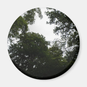 Creepy Forest Magnet