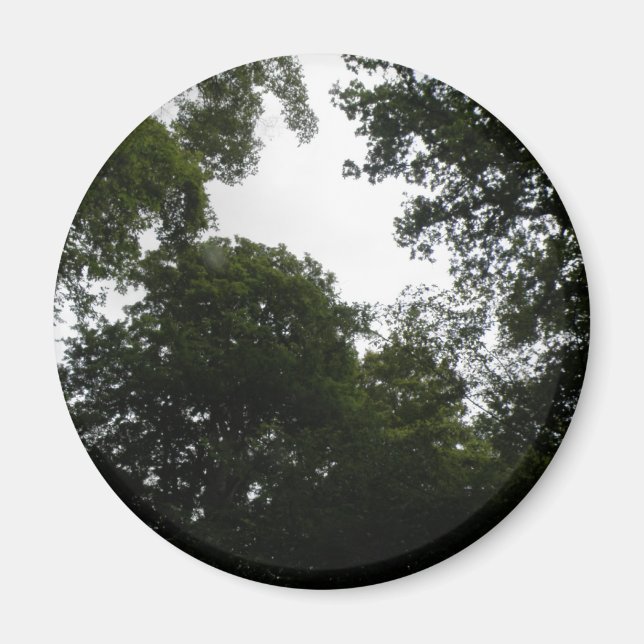 Creepy Forest Magnet (Front)