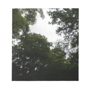 Creepy Forest Notepad