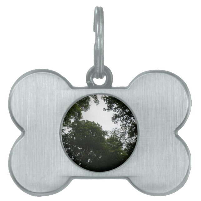 Creepy Forest Pet Tag (Front)