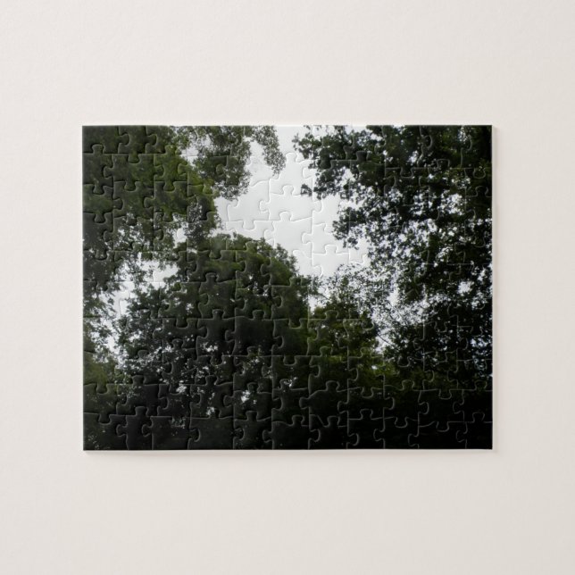 Creepy Forest Puzzle (Horizontal)