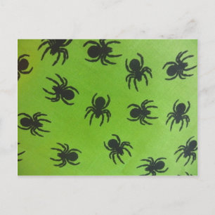 Creepy Spiders Postcard