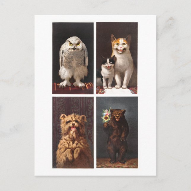 Creepy Victorian Animals Vintage Postcard (Front)