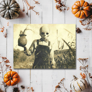 Creepy Vintage Skeleton Cornfield Rural Horror Postcard