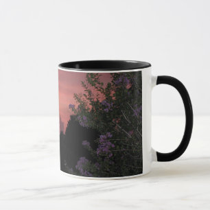 Crepe Myrtle and Sunset Mug