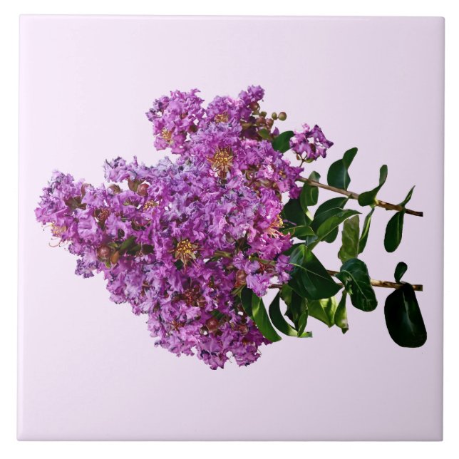 Crepe Myrtle Ceramic Tile (Front)