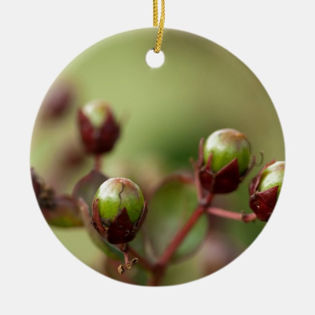 Crepe Myrtle Seed Pods Ceramic Ornament (Front)