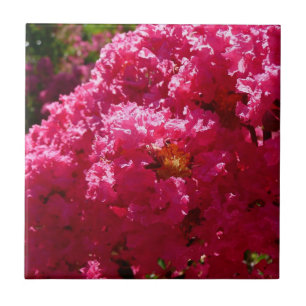 Crepe Myrtle Tree Magenta Floral Ceramic Tile