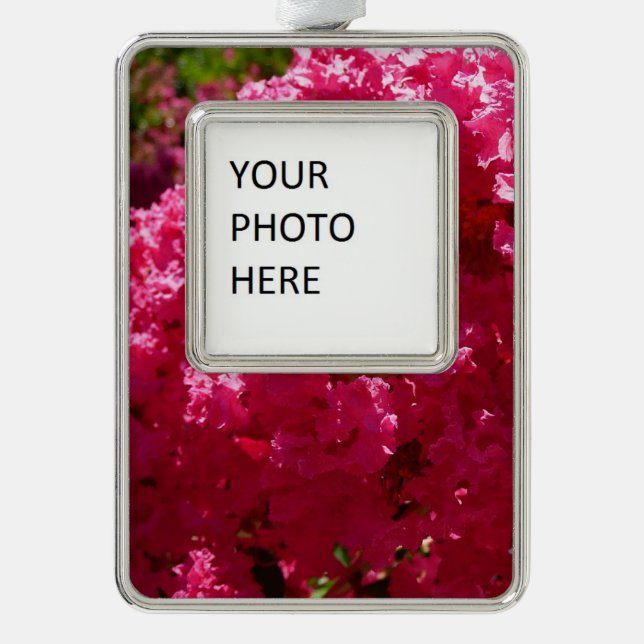 Crepe Myrtle Tree Magenta Floral Silver Plated Framed Ornament (Front)