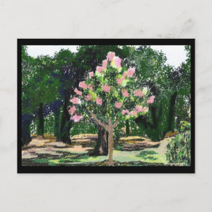 Crepe Myrtle Tree Postcard