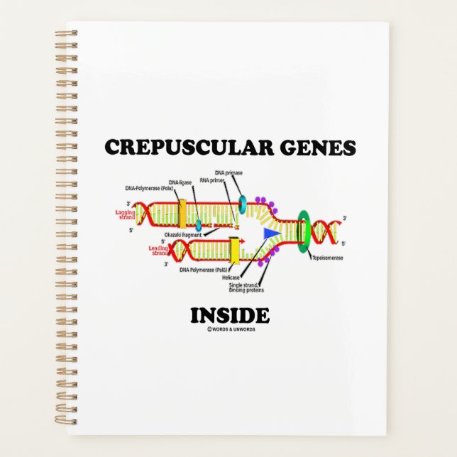 Crepuscular Genes Inside DNA Humour Planner (Front)