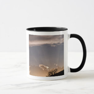 Crepuscular rays radiate across the sky at mug